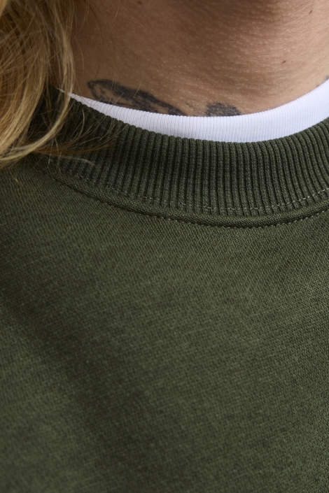 Jack & Jones jjebradley sweat crew noos